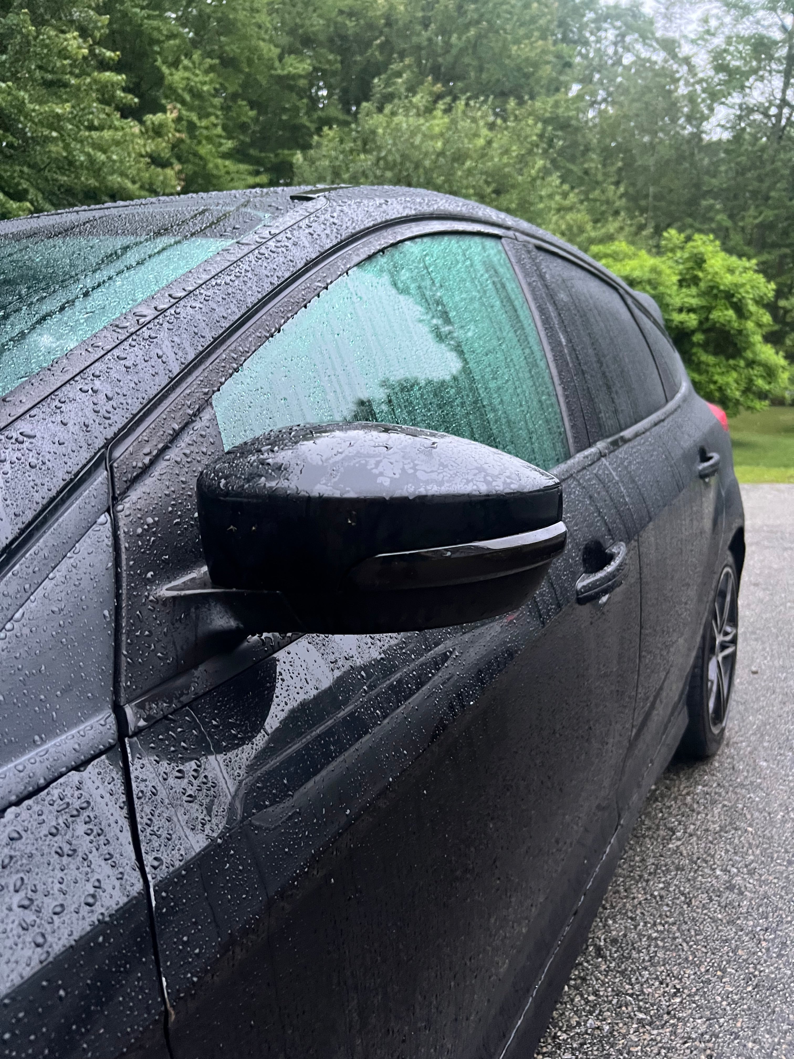 Focus St Smoked Amber Turn Signals